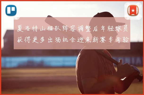 夏洛特山猫队阵容调整后年轻球员获得更多出场机会迎来新赛季考验