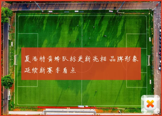 夏洛特黄蜂队标更新亮相 品牌形象延续新赛季看点