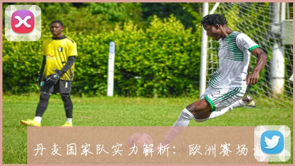 丹麦国家队实力解析：欧洲赛场竞争力与大赛表现受关注