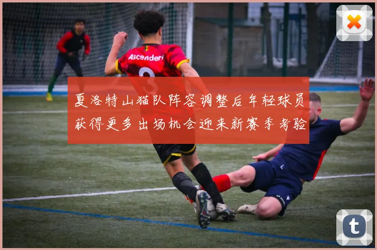 夏洛特山猫队阵容调整后年轻球员获得更多出场机会迎来新赛季考验