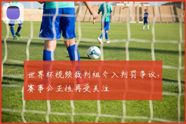 世界杯视频裁判组介入判罚争议，赛事公正性再受关注