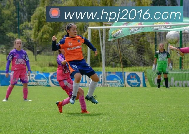 c7网站服务体系